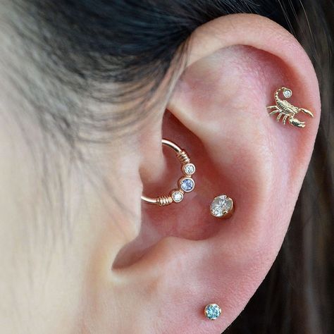 Bvla Daith, Earring Combinations, Piercing Aesthetic, Daith Rings, Hinged Ring, Piercing Ideas, Helix, Piercing Jewelry, Tattoos And Piercings