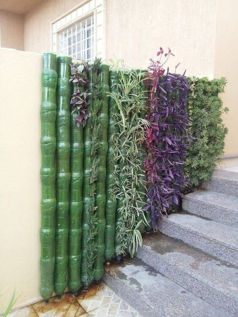 19 Creative Plastic Bottle Vertical Garden Ideas - A Green Hand Kebun Herbal, Plastic Bottle Planter, Taman Diy, Vertical Garden Ideas, Vertical Garden Design, Reuse Plastic Bottles, Jardim Diy, Diy Plastic Bottle, Vertical Herb Garden