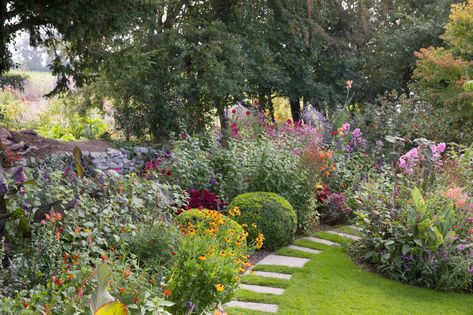 An unconventional, informal Irish garden full of wildlife | House & Garden Hydrangea Paniculata Limelight, Buddleja Davidii, Irish Garden, Hillside Garden, County Wicklow, Prairie Garden, Hydrangea Paniculata, Bee Garden, Wildlife Gardening