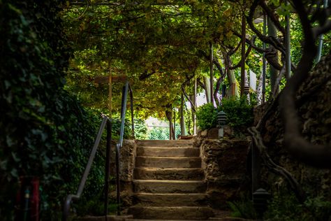 The Forestiere Underground Garden in Fresno, California is a network of 50 underground rooms with citrus trees growing in the most unexpected places, like the center of his dining room table! Lemon Pomegranate, Hobbit Garden, Underground Garden, Garden Collage, Instagram Projects, Orange Trees, Sunken Garden, Fresno California, Big Garden