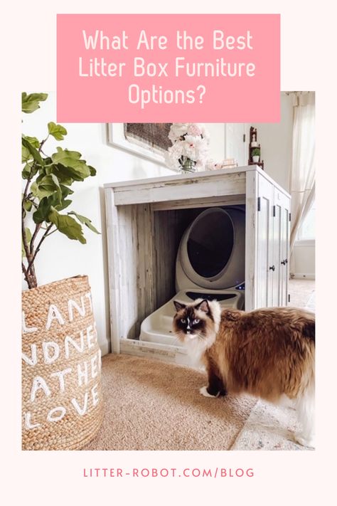 Litter Box Shelf, Hidden Litter Box Ideas Laundry Rooms, Disguise Litter Box Ideas, Litter Box Location Ideas, Hide Litter Robot Ideas, Ways To Hide A Litter Box In A Small House, Hiding Litter Robot, How To Hide Litter Robot, Cat Litter Robot Ideas Hidden