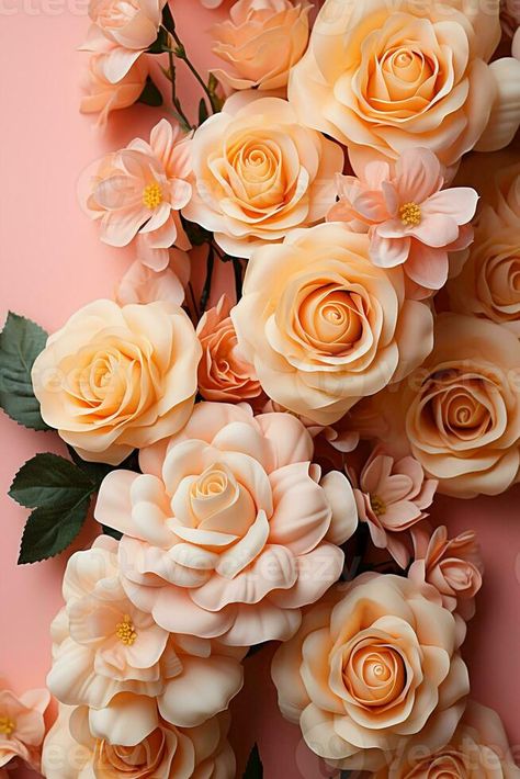 Cover page full size, soft color roses only on edges, peach background, no text, calm nature style. AI generative Calm Nature, Color Roses, Roses Only, Peach Background, Nature Style, Cover Page, Cityscape Photos, Logo Banners, Nature Backgrounds