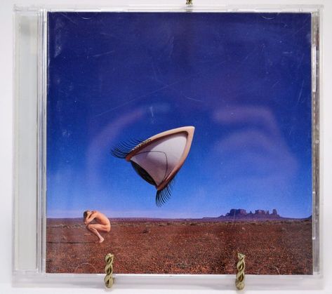 The Cranberries Bury The Hatchet Music CD Bury The Hatchet, The Hatchet, The Cranberries, Music Cds, Surfboard, Cranberry, Thrift Store, Cd, For Sale