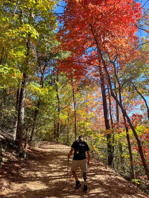 When to Go: Fall Foliage on the East Coast - Next Stop Adventures East Coast Fall, Fall Destinations, Fall Road Trip, Fall Getaways, Leaf Peeping, Shenandoah National Park, Blue Ridge Parkway, Acadia National Park, Fall Travel