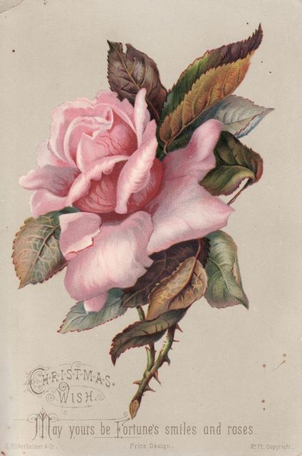 Vintage Decoupage, Victorian Scrap, Victorian Flowers, Decoupage Vintage, Images Vintage, Rose Art, Rose Painting, Picture Cards, Vintage Printables