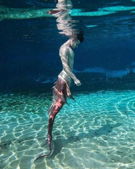 Male Mermaid, Mermaid Photography, Mermaid Man, Fantasy Mermaids, Mako Mermaids, Mermaid Stuff, Mermaid Tattoo, Mermaid Aesthetic, Mermaids And Mermen