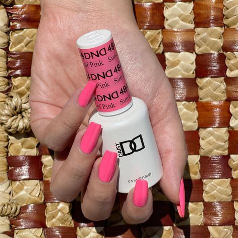 Daisy Nail Designs, INC. on Instagram: “Is there such thing as a ~subtle~ neon? We’ll be rocking #SunOfPink DND484 into the hot summer ahead 👙🌞” Daisy Nail Designs, Daisy Nail Design, Dnd Polish, Dnd Nails, Dnd Nail Polish, Pink Nail Colors, Gel Colors, Dnd Gel Polish, Toe Nail Color