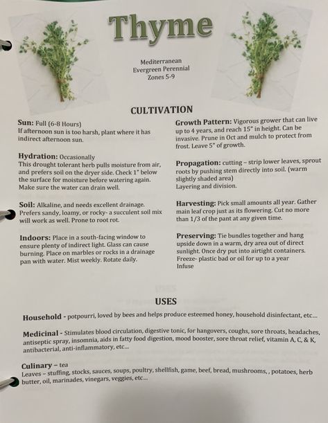 Thyme Medicinal Recipes, Thyme Properties, Thyme Tincture How To Make, Thyme Plant Care, Survival Journal, Health Benefits Of Thyme, Garden Binder, Thyme Medicinal Properties, Medicinal Herbs Remedies