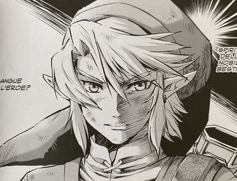 Zelda Manga Panels, Loz Manga, Legend Of Zelda Manga, Akira Himekawa, Link Zelda, Dark Blood, Zelda Art, Twilight Princess, Fun Illustration