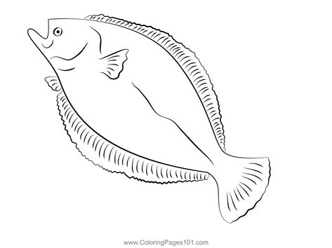 Flounder 5 Coloring Page Flounder Illustration, Free Kids, Printable Coloring, Printable Coloring Pages, Coloring Pages For Kids, Free Printables, Coloring Pages, Color