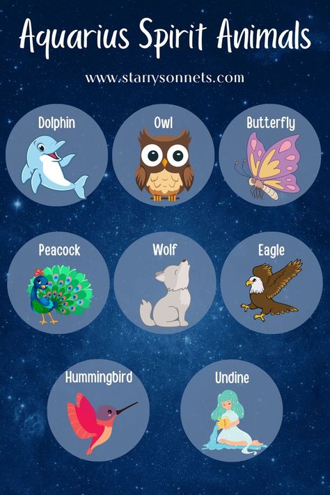 Infographic about Aquarius spirit animals showing a dolphin, an owl, a butterfly, a peacock, a wolf, an eagle, a hummingbird and an undine. Aquarius Spirit Animal, Zodiac Signs Animals, Aquarius Symbol, Aquarius Aesthetic, Aquarius Traits, Aquarius Life, Aquarius Truths, Zodiac Characters, Astrology Aquarius