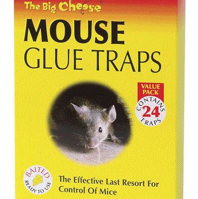 How to Make Sticky Glue for Mouse Trap – Pack Rat journey Homemade House Cleaners, How To Makr, Bucket Mouse Trap, Mouse Trap Board Game, Mouse Trap Game, Best Mouse Trap, Glue Trap, Pack Rat, Getting Rid Of Mice