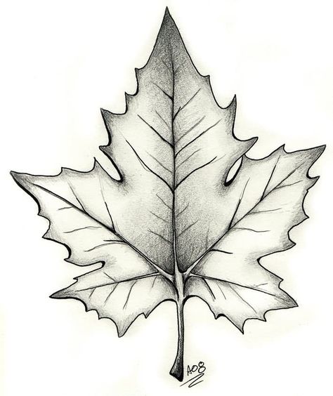 Black And Grey Maple Leaf Tattoo Design #Halloween #tattoos #Halloweentattoos Maple Leaf Tattoo Design, Leaf Tattoo Design, Autumn Tattoo, Leaf Tattoo, Black And White Leaves, Tattoo Zeichnungen, Forearm Tattoo Design, Leaf Illustration, Leaf Drawing