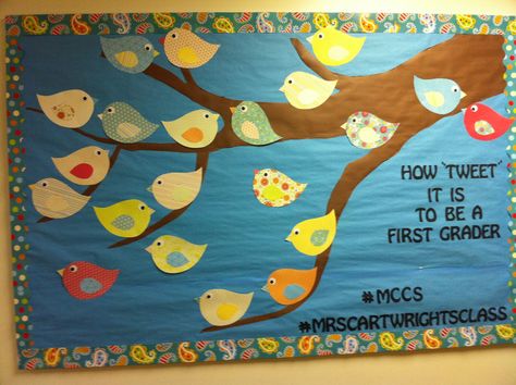 Back to school bulletin board! #twitter #birds Different words but same idea, excited to do a twitter themed board. Bird Bulletin Boards, Door Bulletin Boards, Kindergarten Bulletin Boards, Summer Bulletin Boards, Preschool Bulletin, Preschool Bulletin Boards, Back To School Bulletin Boards, Bulletin Board Ideas, Classroom Bulletin Boards