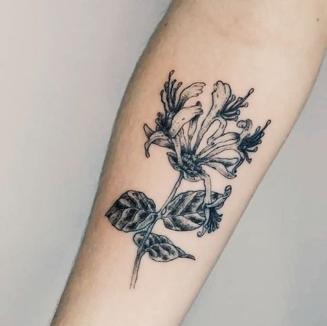 Honeysuckle Tattoo, Relief Print, Henna Tattoo, Traditional Tattoo, Design Inspo, Tattoo Design, Flower Tattoo, Tatting, Henna