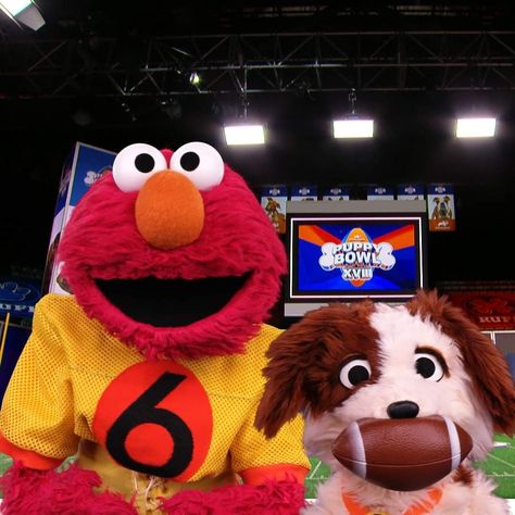 Elmo And Tango, Puppy Bowls, Sporting Event, Cookie Monster, Monster Cookies, Sesame Street, The Field, Cant Wait, Sport Event