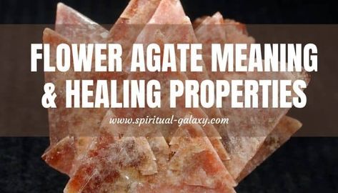 Flower Agate Meaning: Healing Properties, Benefits & Uses - Spiritual-Galaxy.com Indian Agate Crystal Meaning, Black Flower Agate Meaning, Sakura Agate Crystal Meaning, Flower Agate Meaning, Flower Agate Crystal Meaning, Flower Agate Properties, Crazy Lace Agate Crystal Meaning, Blue Lace Agate Meaning, Agate Meaning