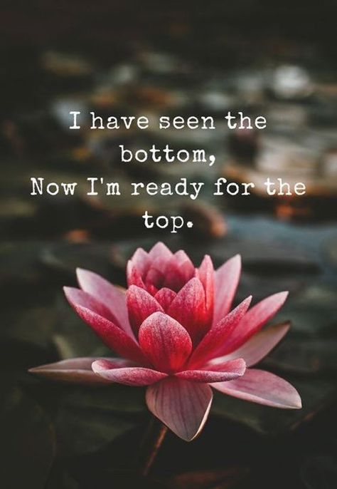 Lotus Flower Quote, Top Quotes, Flower Quotes, Beautiful Quotes, Lotus Flower, The Words, Great Quotes, Namaste, Inspire Me