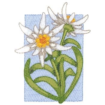 Edelweiss embroidery design Edelweiss Embroidery, Edelweiss Tattoo, Edelweiss Flower, Alpine Flowers, Emb Designs, Ribbon Work, Thread Painting, Hand Embroidery Pattern, Fused Glass Art