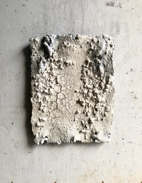 Fur Installation, Ceramic Texture, Ceramic Wall Art, A Level Art, Sumi E, Wall Sculpture Art, Textured Artwork, Wall Sculpture, Art Plastique