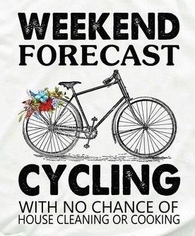 Bicycle Memes Hilarious, Funny Cycling Quotes, Biking Quotes Cycling, Biking Quotes, Bicycle Humor, Cycling Memes, Mountain Biking Quotes, Bike Humor, Cycling Benefits