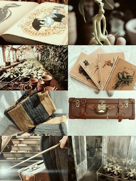 Newt Scamander Fantastic Beasts Decor, Fantastic Beasts And Where To Find Them Aesthetic, Fantastic Beasts And Where To Find Them, Fantastic Beasts Wedding, Fantastic Beasts Aesthetic, Newt Scamander Aesthetic, Alien Terrain, Podcast Artwork, Green Brown Eyes