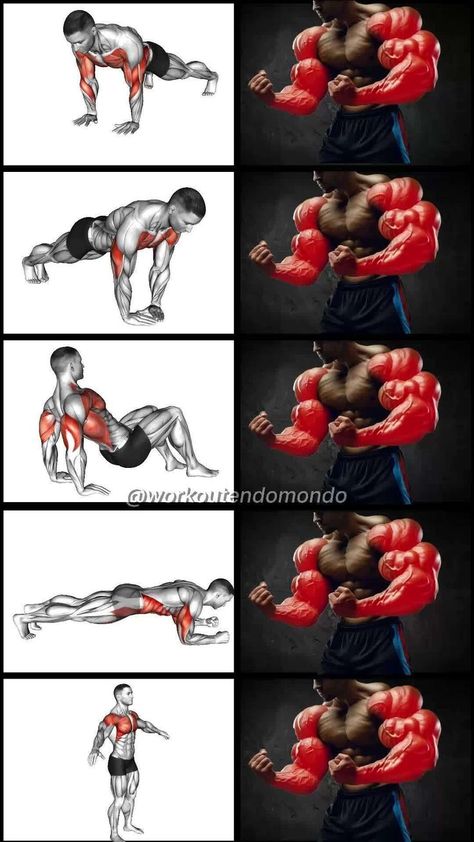 Arms At Home, Workouts Without Equipment, Bigger Biceps, Tone Your Arms, Best Gym Workout, Lose Arm Fat, Big Biceps, Arm Workouts, Arm Exercises