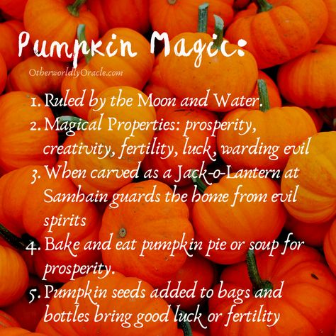 Pumpkin Spells, Grimoire Notes, Pumpkin Witchcraft, Magickal Plants, Plant Magick, Green Witchery, Pumpkin Magic, Magical Plants, Kitchen Witch Recipes