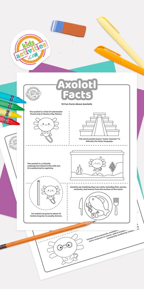 Fun Facts About Axolotl that Kids Can Print | Kids Activities Blog Kids Activities, Favorite Child, Fun Learning, Facts About, Activities For Kids, Fun Facts, Crafts For Kids, Canning