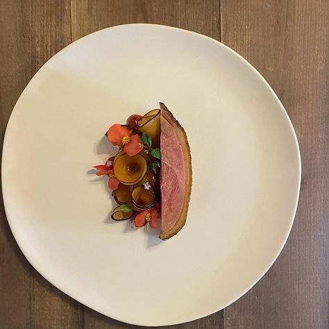 Duck Plating, Fish Plating, Aesthetic Plating, Duck Terrine, Duck Dishes, Chefs Plate, Newborn Stroller, Cocina Ideas, Plate Presentation