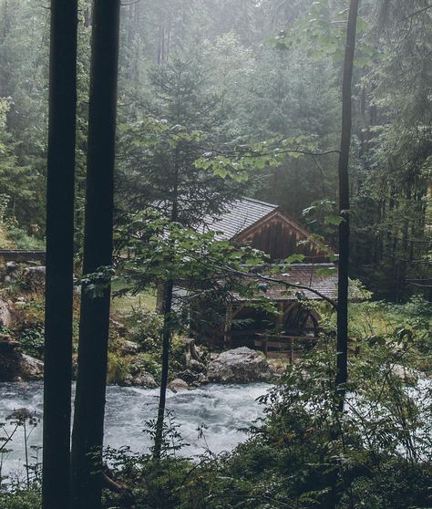 Rainy Cabin In The Woods, Rainy Woods Aesthetic, Rainy Cabin, Rainy Forest, A Cabin In The Woods, Little Cabin In The Woods, Small Town America, Forest Cabin, Small Town Life