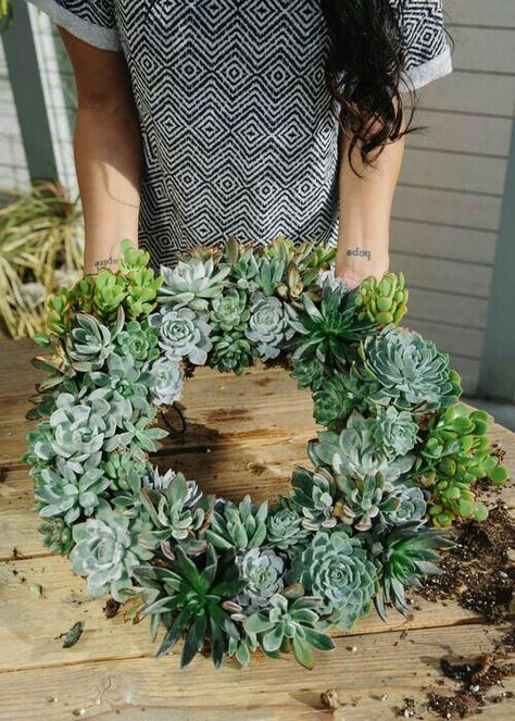 Succulent Wreaths, Succulent Wreath Diy, Tanaman Sukulen, Living Wreath, Succulent Centerpieces, Succulent Garden Diy, Succulent Wreath, Succulents Decor, Succulent Gardening