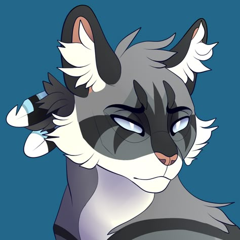 Jayfeather Warrior Cats Art, Warrior Cats Fan Art Jayfeather, Jayfeather Warrior Cats Fanart, Hawkfrost Warrior Cats, Jayfeather Warrior Cats, Warrior Cats Jayfeather, Warrior Cats Challenge, Jay Feather, Warrior Cats Series