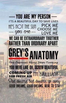 Grey's Anatomy Wallpaper Iphone, Greys Anatomy Funny, Grey Quotes, You Are My Person, Greys Anatomy Memes, Dark And Twisty, Grey Anatomy Quotes, Grey's Anatomy Quotes, Anatomy Quote