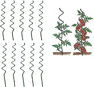 Amazon.com: Tomato Poles Plant Ties, Support Pictures, Tomato Cages, Plant Supports, Climbing Plants, Grow Your Own, Gourmet Food, Garden And Yard, Plant Care