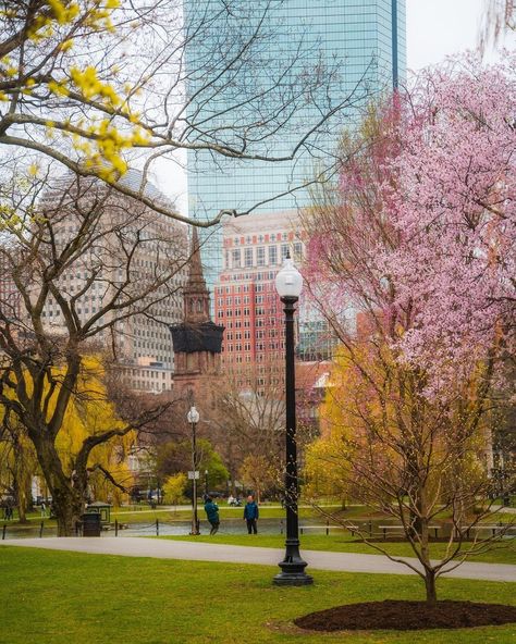 Boston Spring Aesthetic, Spring Widgets, Boston Wallpaper, Boston Life, Boston Spring, 2024 Planning, Boston Aesthetic, Boston Vacation, 10 Year Plan