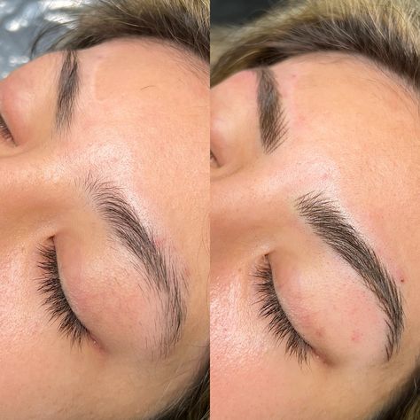 Obsessed with this transformation, swipe to see how she went from very little tail hair to these gorgeous brows ✨ Want to learn how to create brows like these? I have one spot left for my beginners nano training starting September 1st! Link in bio for more information. #nanobrows #machinehairstrokes #nanobrowspmu #nanobrowtraining #nanobrowsandiego #sandiegopermanentmakeup #sandiegobrows #sandiegomicroblading Nano Blading Eyebrows, Nano Eyebrows, Nano Brows Before And After, Nano Brows, Eyebrow Before And After, Tail Hair, September 1st, Cosmetic Tattoo, Permanent Makeup