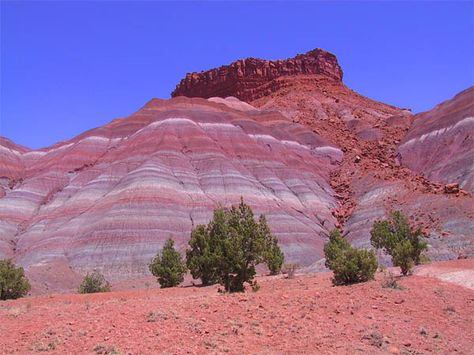 Painted Desert, Arizona Desert Arizona, Arizona Vacation, Painted Desert, Petrified Forest, Desert Life, Arizona Desert, Southwest Desert, Desert Painting, Northern Arizona