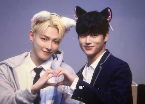 Ateez Cat Ears, Topaz Ateez, Pirate Kids, White Kitten, White Kittens, Black Kitten, Woo Young, Kim Hongjoong, Extended Play