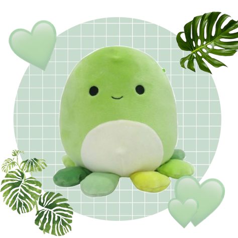 Green Squishmallow Aesthetic, Cabbage Aesthetic, Green Squishmallow, Social Work Offices, Squish Mallows, Squish Mellow, Cute Squishies, Kawaii Toys, The Octopus