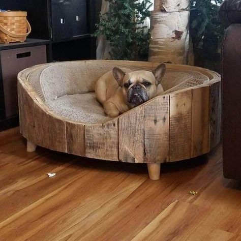 Pets Wallpaper, Wood Dog Bed, Raised Dog Beds, Wooden Dog Bed, Pallet Dog Beds, Animals Jokes, Dog Corner, Diy Dog Bed, Dog Bed Furniture