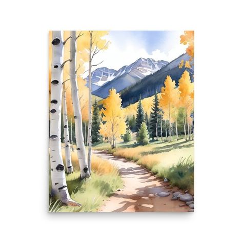 Aspen trees photography