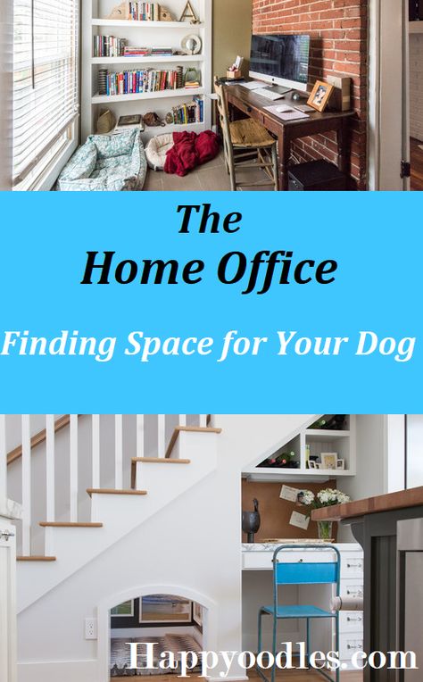 Home Designs for Dogs Archives - Happy Oodles Office Dog Bed, Room In Apartment, Small Home Office Ideas, Home Office Designs, Custom Dog Houses, Modern Dog Houses, Dogs Home, Compact Home, Dog Spaces