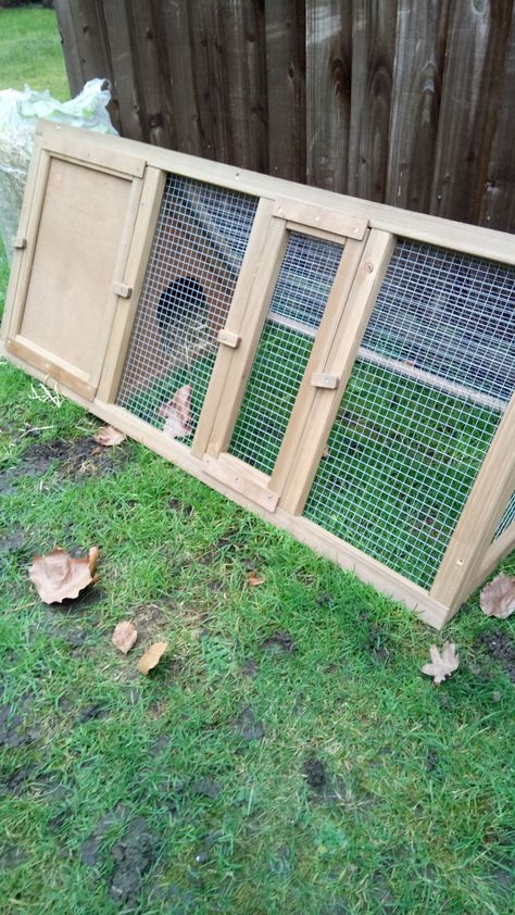 New to quail keeping help needed | BackYard Chickens - Learn How to Raise Chickens Diy Outdoor Quail Coop, Quail Home Ideas, Quail Pen Diy, Cheap Quail Coop, Quail Pen Ideas Diy, Quail Hutch Diy, Quail Enclosure Ideas, Quail Pen Ideas, Quail Coop Plans