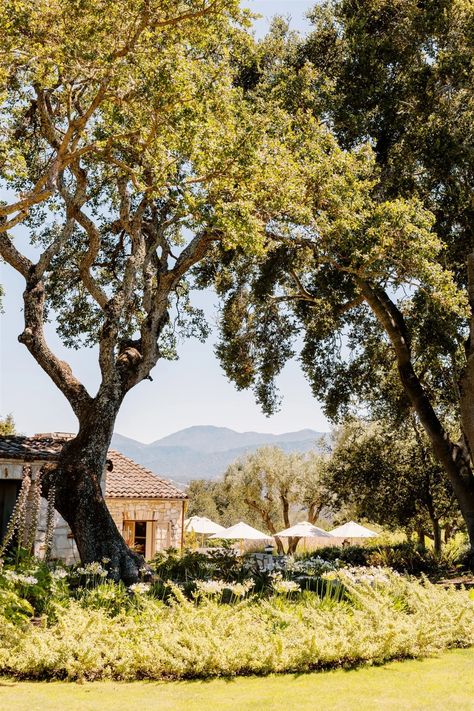 A "California cool" ranch wedding with custom watercolor details Calamigos Ranch Wedding, Calamigos Ranch, California Ranch, Carmel Valley, Desert Vibes, Chic Aesthetic, California Cool, Wedding Dress Trends, Wedding Goals