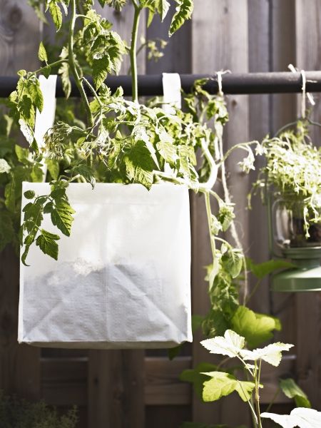 Plastic DIMPA bags are suitable for use outdoors. Rooftop Garden Urban, Ikea Deco, Ikea Garden, Balcony Style, Pots Ideas, Small Space Gardening, Ikea Diy, Green Garden, Green Life