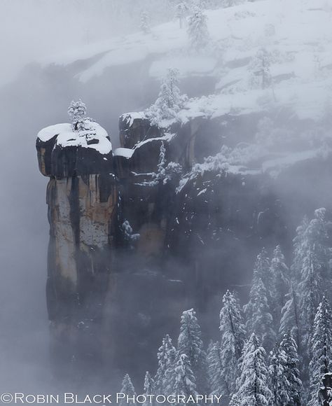 The Rostrum, Yosemite parc Enchanted Kingdom, Black Nature, Yosemite Park, Photo Landscape, Awesome Nature, Scenic Photos, Black Photography, Scenic Photography, Art Photos