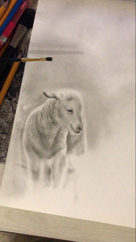 Lamb Sketch Drawing, Lamb Sketch, Lamb Drawing, Space Artwork, Cloud Drawing, Realistic Paintings, Diy Canvas Art Painting, Paint Ideas, Diy Canvas Art