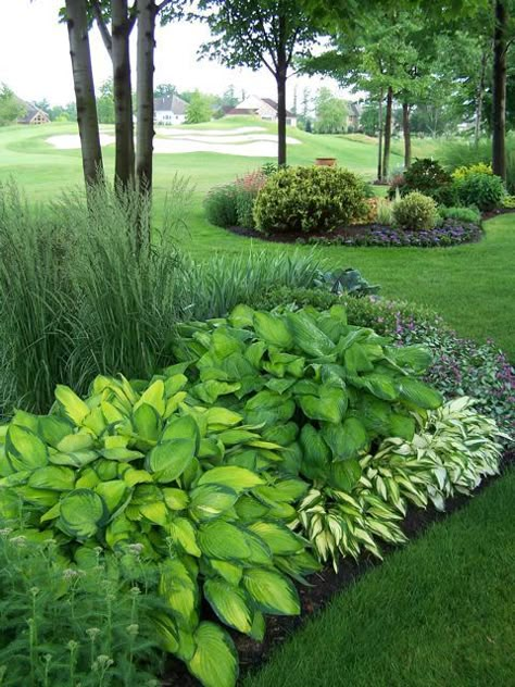 Large Yard Landscaping, Hosta Gardens, Shade Gardens, Have Inspiration, Outside Ideas, Front Yard Garden, Shade Plants, Gardening Landscaping, The Secret Garden