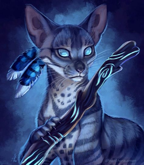 Jayfeather by Panthera_Arven (Twitter) Warrior Cats, Blue Eyes, Deviantart, Blue